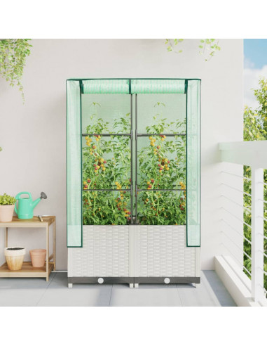 Letto Rialzato con Copertura Serra Effetto Rattan 80x40x138 cm