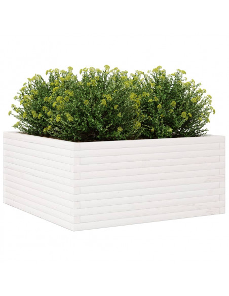 Fioriera da Giardino Bianca 100x100x46cm Legno Massello di Pino