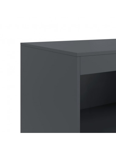 Credenza Antracite 67x39x107 cm in Acciaio