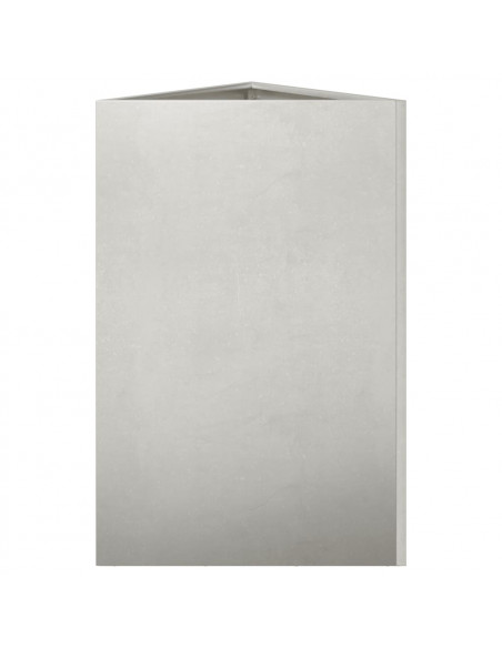 Fioriere da Giardino 2 pz Triangolari 50x43x75 cm Acciaio Inox