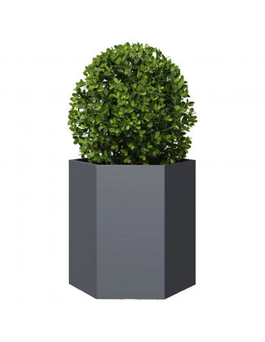 Fioriera da Giardino Antracite Esagono 46x40x45 cm in Acciaio