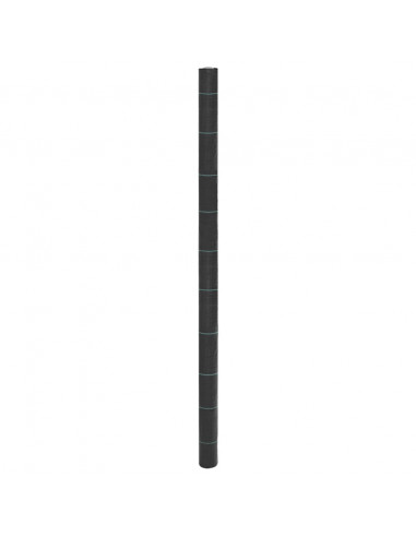 Membrana Antierbacce Nera 2x150 m in PP