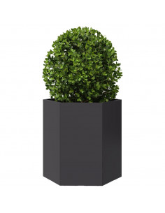 Fioriera da Giardino Nera Esagono 46x40x45 cm in Acciaio 2