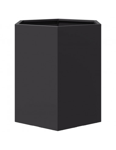 Fioriera da Giardino Nera Esagono 46x40x45 cm in Acciaio