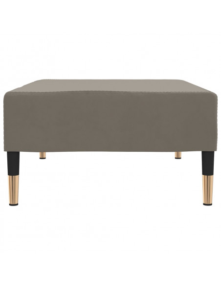 Poggiapiedi Grigio Chiaro 78x56x32 cm in Velluto