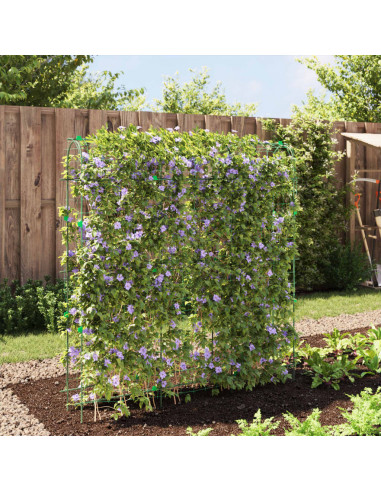 Traliccio Giardino per Rampicanti Telaio U 181x31x182,5 Acciaio
