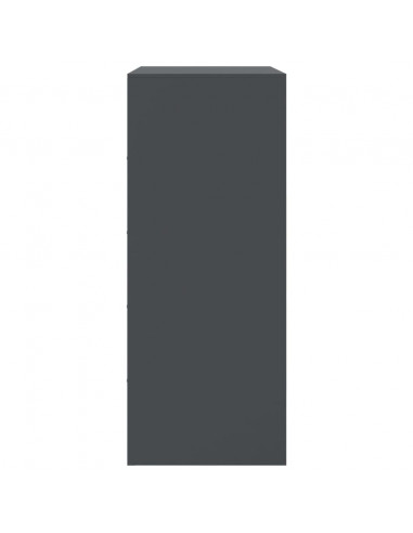 Credenza Antracite 67x39x95 cm in Acciaio