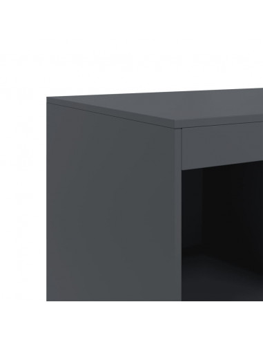 Credenza Antracite 67x39x95 cm in Acciaio