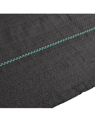 Membrana Antierbacce Nera 1x25 m in PP