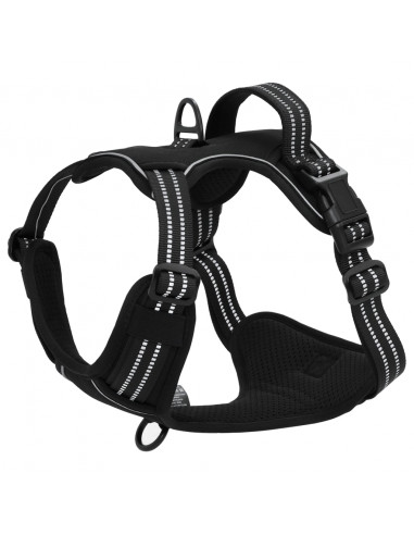 Pettorina per Cani con Guinzaglio e Collare Regolabile Nero XL