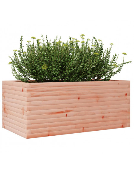 Fioriera da Giardino 110x60x46 cm in Legno Massello di Douglas