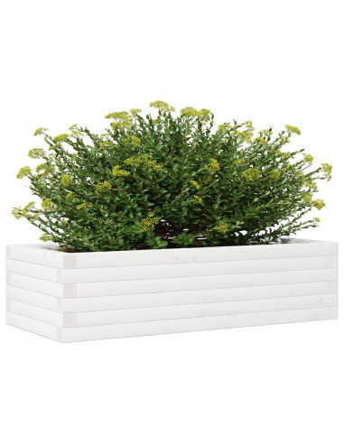 Fioriera da Giardino Bianca 90x40x23 cm Legno Massello di Pino