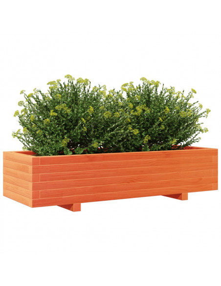 Fioriera Giardino Marrone Cera 110x40x26,5 cm in Legno di Pino