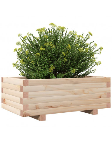 Fioriera da Giardino 70x40x26,5 cm in Legno Massello di Pino