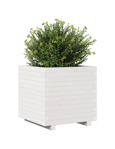 Fioriera da Giardino Bianca 50x50x49,5cm Legno Massello di Pino