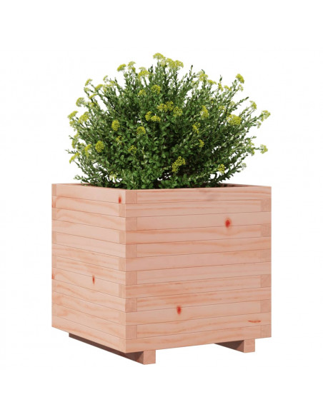 Fioriera da Giardino 50x50x49,5 cm in Legno Massello di Douglas