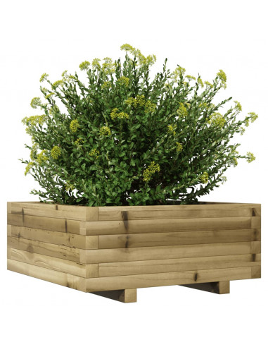 Fioriera da Giardino 60x60x26,5 cm in Legno di Pino Impregnato