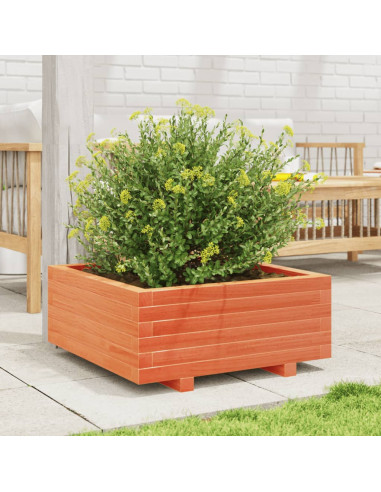 Fioriera Giardino Marrone Cera 60x60x26,5cm Legno Massello Pino