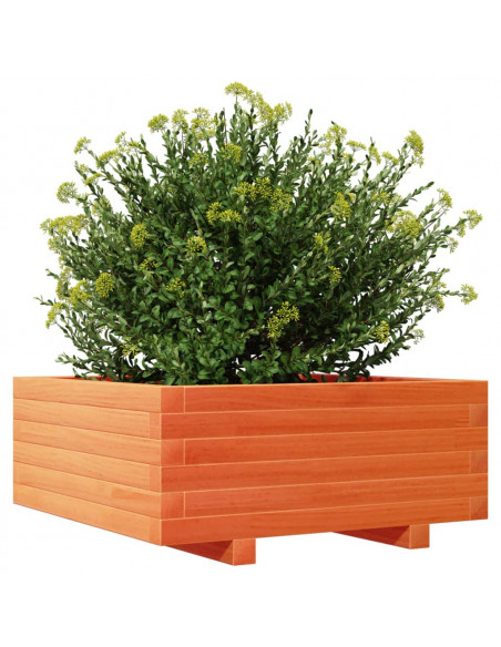 Fioriera Giardino Marrone Cera 60x60x26,5cm Legno Massello Pino