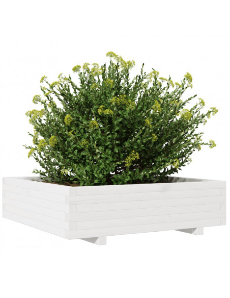 Fioriera da Giardino Bianca 90x90x26,5cm Legno Massello di Pino