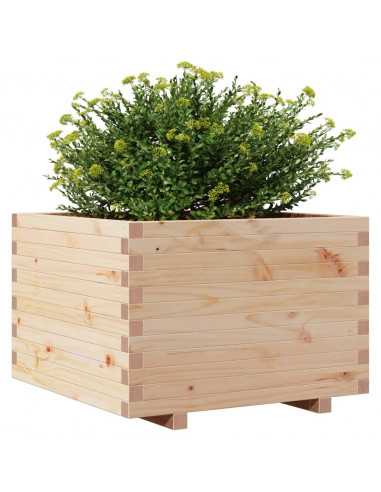 Fioriera da Giardino 70x70x49,5 cm in Legno Massello di Pino
