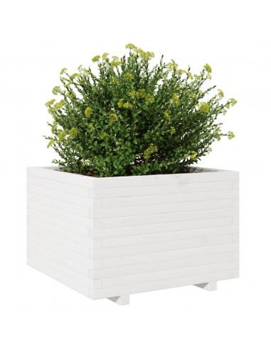 Fioriera da Giardino Bianca 70x70x49,5cm Legno Massello di Pino