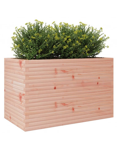 Fioriera da Giardino 110x60x68,5 cm Legno Massello Di Douglas