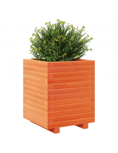 Fioriera Giardino Marrone Cera 40x40x49,5cm Legno Massello Pino