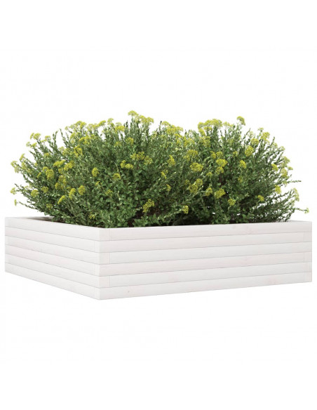 Fioriera da Giardino Bianca 90x90x23 cm Legno Massello di Pino