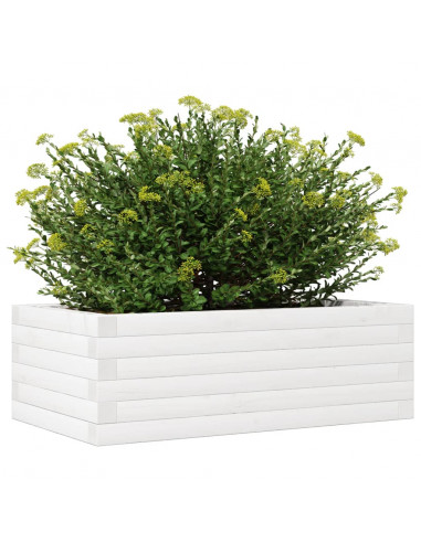 Fioriera da Giardino Bianca 70x40x23 cm Legno Massello di Pino