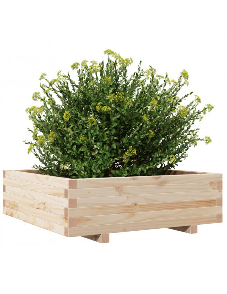 Fioriera da Giardino 80x80x26,5 cm in Legno Massello di Pino