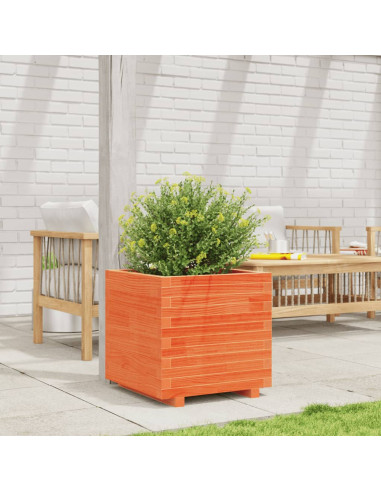 Fioriera Giardino Marrone Cera 50x50x49,5cm Legno Massello Pino