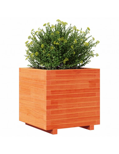 Fioriera Giardino Marrone Cera 50x50x49,5cm Legno Massello Pino