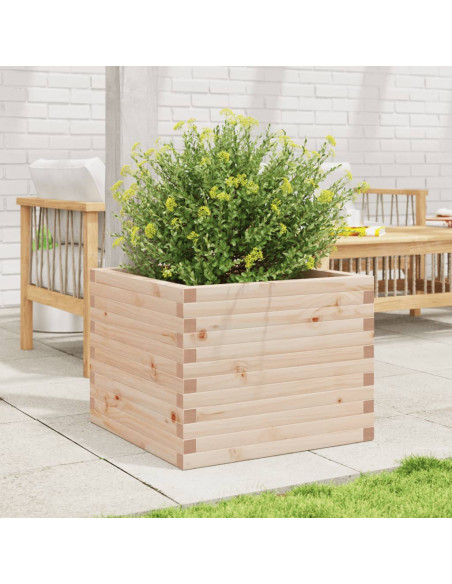 Fioriera da Giardino 60x60x46 cm in Legno Massello di Pino