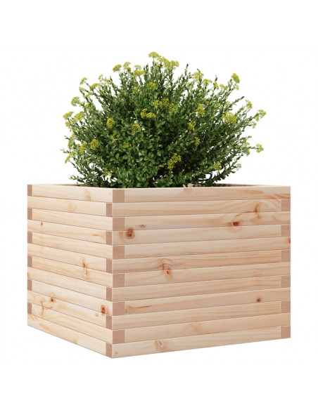 Fioriera da Giardino 60x60x46 cm in Legno Massello di Pino