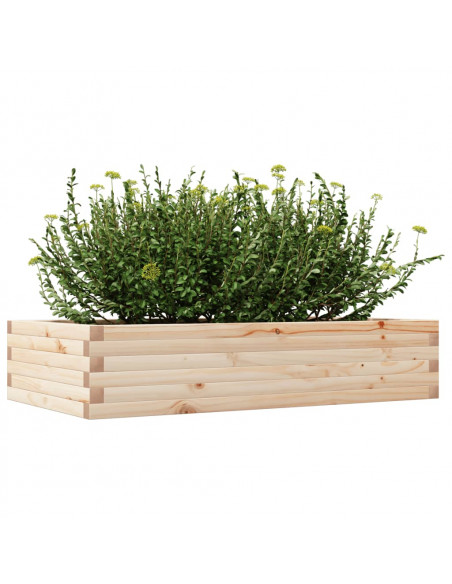 Fioriera da Giardino 110x60x23 cm in Legno Massello di Pino