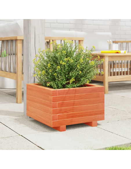 Fioriera Giardino Marrone Cera 40x40x26,5cm Legno Massello Pino