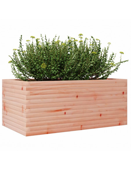Fioriera da Giardino 110x60x45,5 cm Legno Massello di Douglas