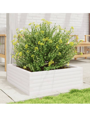 Fioriera da Giardino Bianca 70x70x23 cm Legno Massello di Pino