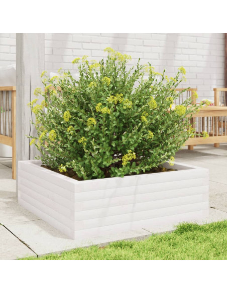 Fioriera da Giardino Bianca 70x70x23 cm Legno Massello di Pino