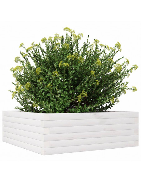 Fioriera da Giardino Bianca 70x70x23 cm Legno Massello di Pino