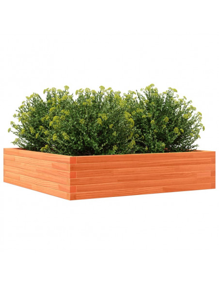 Fioriera Giardino Marrone Cera 100x100x23 Legno Massello Pino
