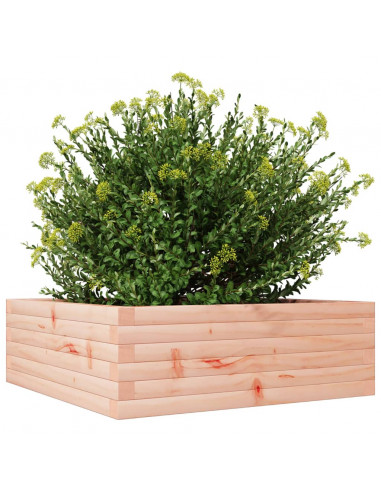 Fioriera da Giardino 70x70x23 cm in Legno Massello di Douglas