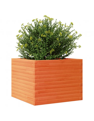 Fioriera Giardino Marrone Cera 60x60x45,5cm Legno Massello Pino