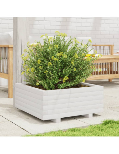 Fioriera da Giardino Bianca 60x60x26,5cm Legno Massello di Pino