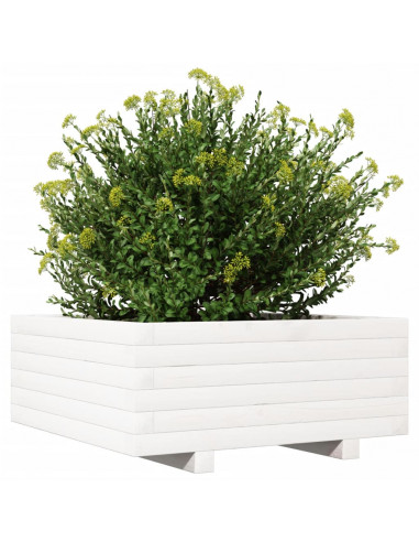 Fioriera da Giardino Bianca 60x60x26,5cm Legno Massello di Pino