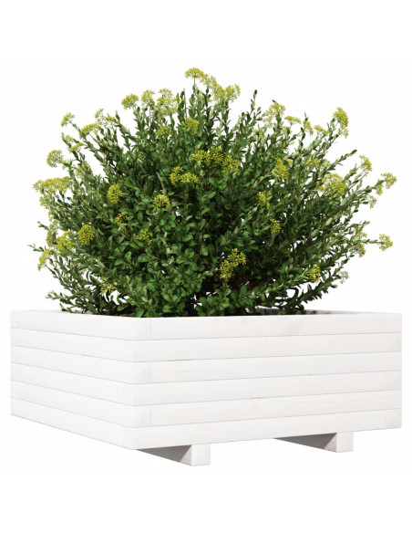 Fioriera da Giardino Bianca 60x60x26,5cm Legno Massello di Pino