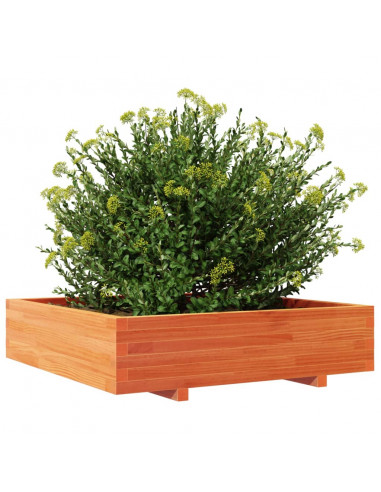 Fioriera Giardino 100x100x26,5cm Legno Massello Pino