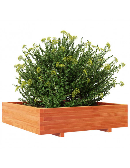 Fioriera Giardino 100x100x26,5cm Legno Massello Pino