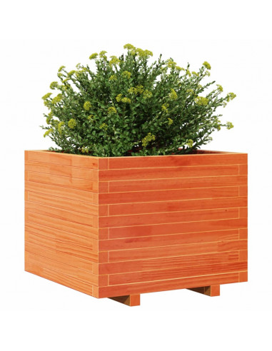 Fioriera Giardino Marrone Cera 60x60x49,5cm Legno Massello Pino